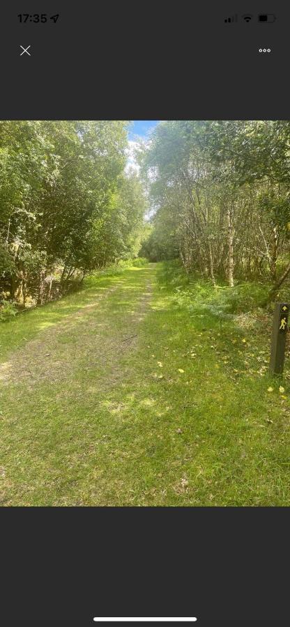 Market Street Shepherd'S Hut Leitrim Dromahair Экстерьер фото